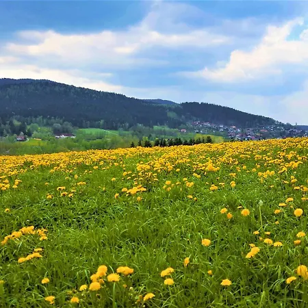 Am Hohen Bogen-19 By Interhome Apartment *